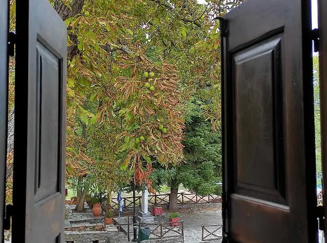 θετισ Πανσιόν